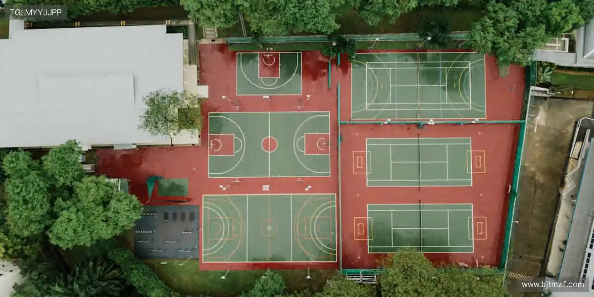 独家视角，让热爱零距离！📺✨